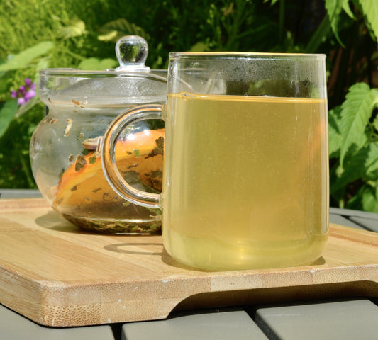 Tisana fredda