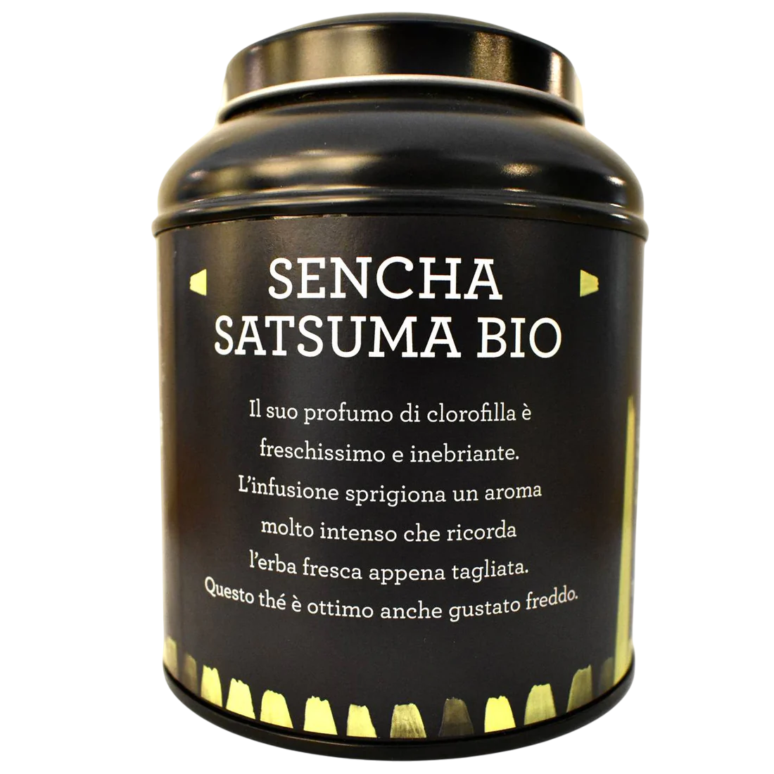 Tè Verde Giapponese Sencha Satsuma Bio Barattolo 100g