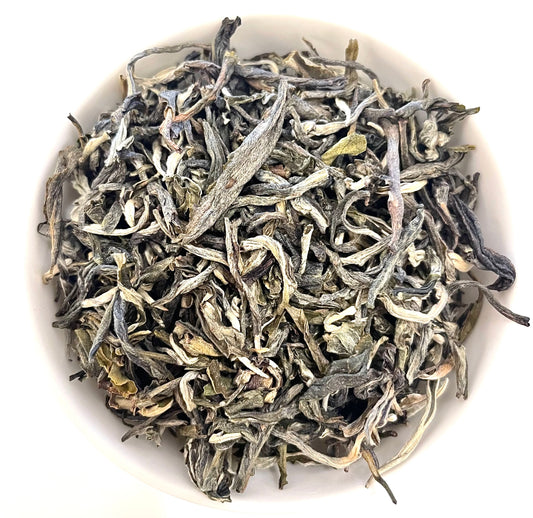 Tè Bianco Guangxi White Buds