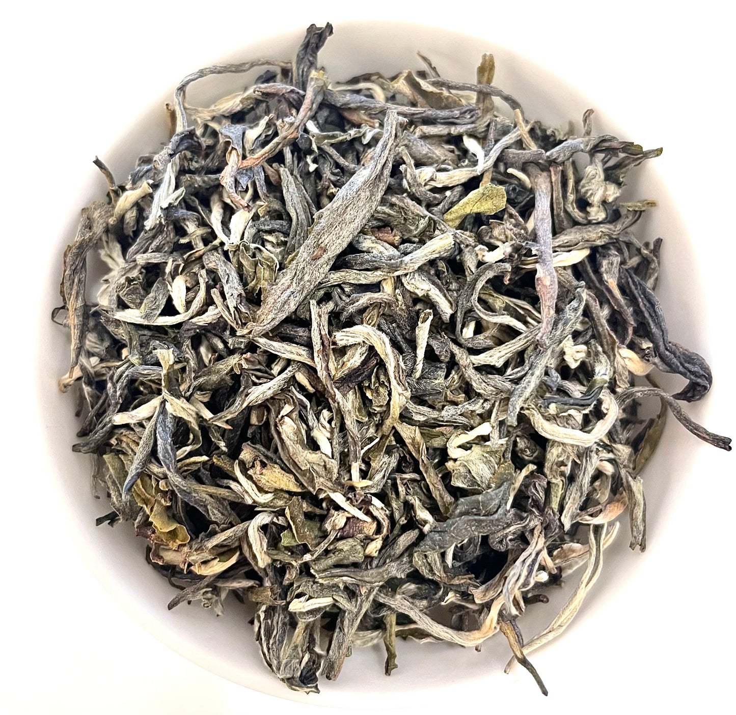 Tè Bianco Guangxi White Buds Barattolo 100g