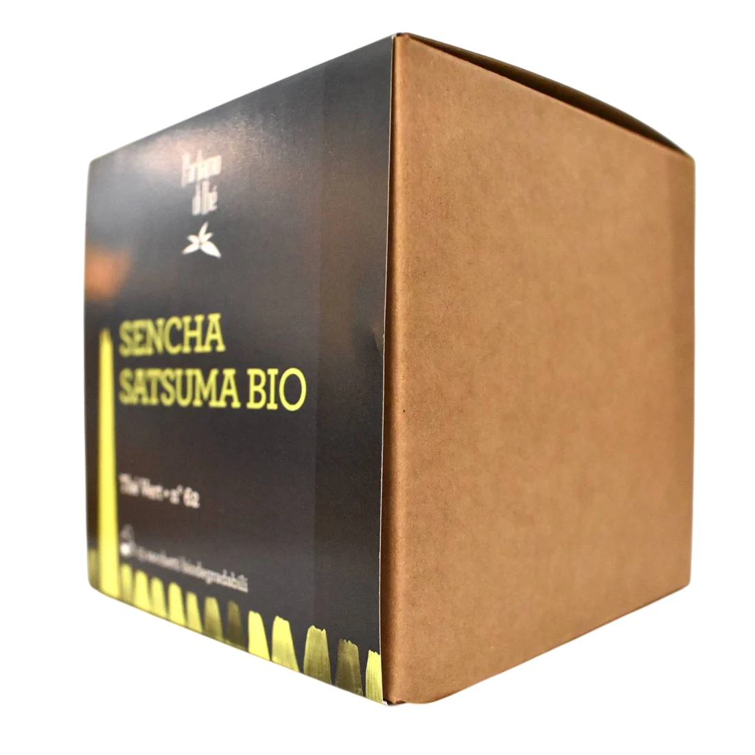 Tè Verde Giapponese Sencha Satsuma Bio in bustine