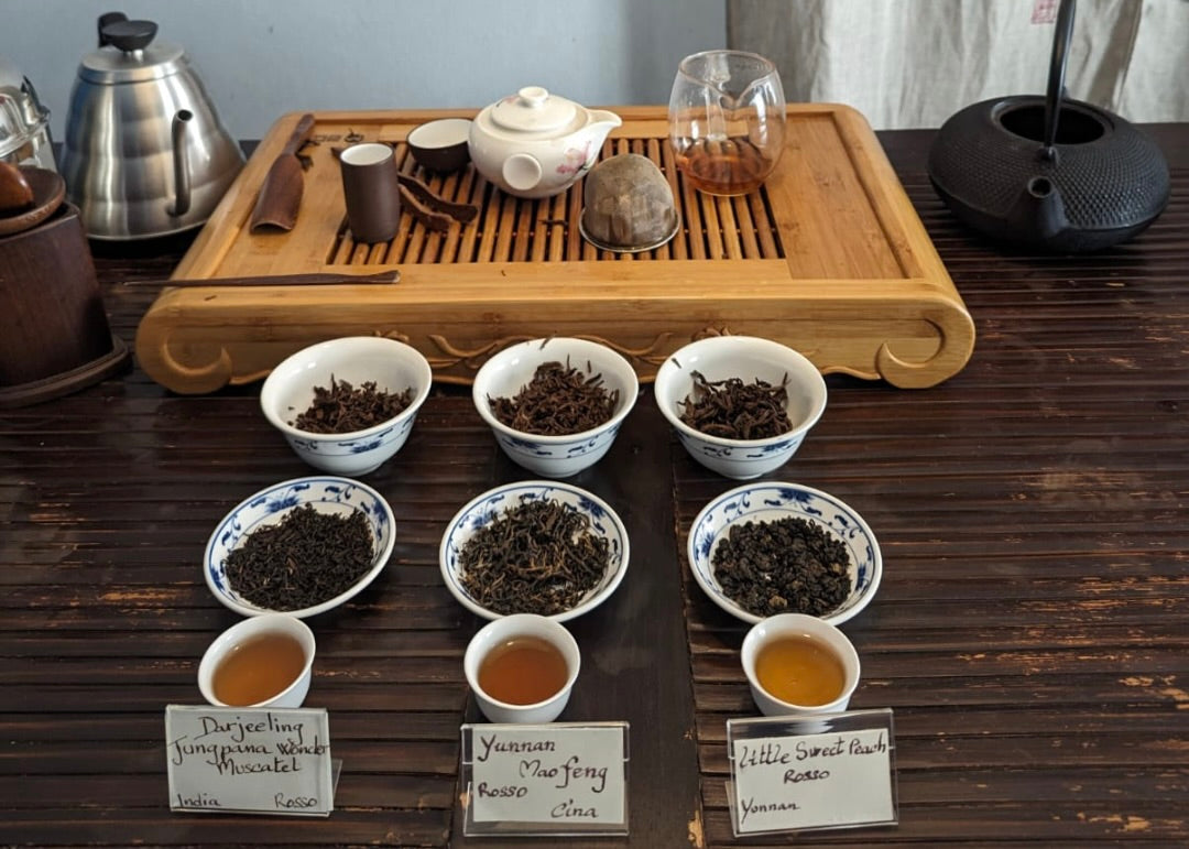 I Colori del Tè: guida completa per comprendere ogni sfumatura della Camellia sinensis