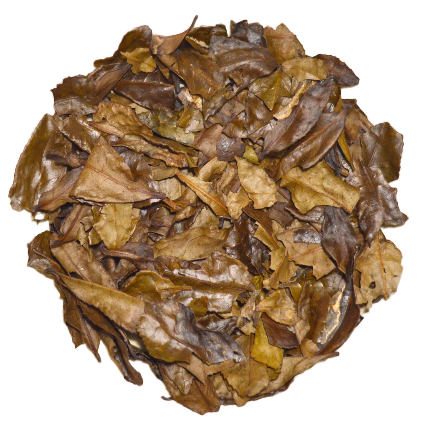 Tè verde tostato Kyobancha Biologico Premium (Uji, Giappone)