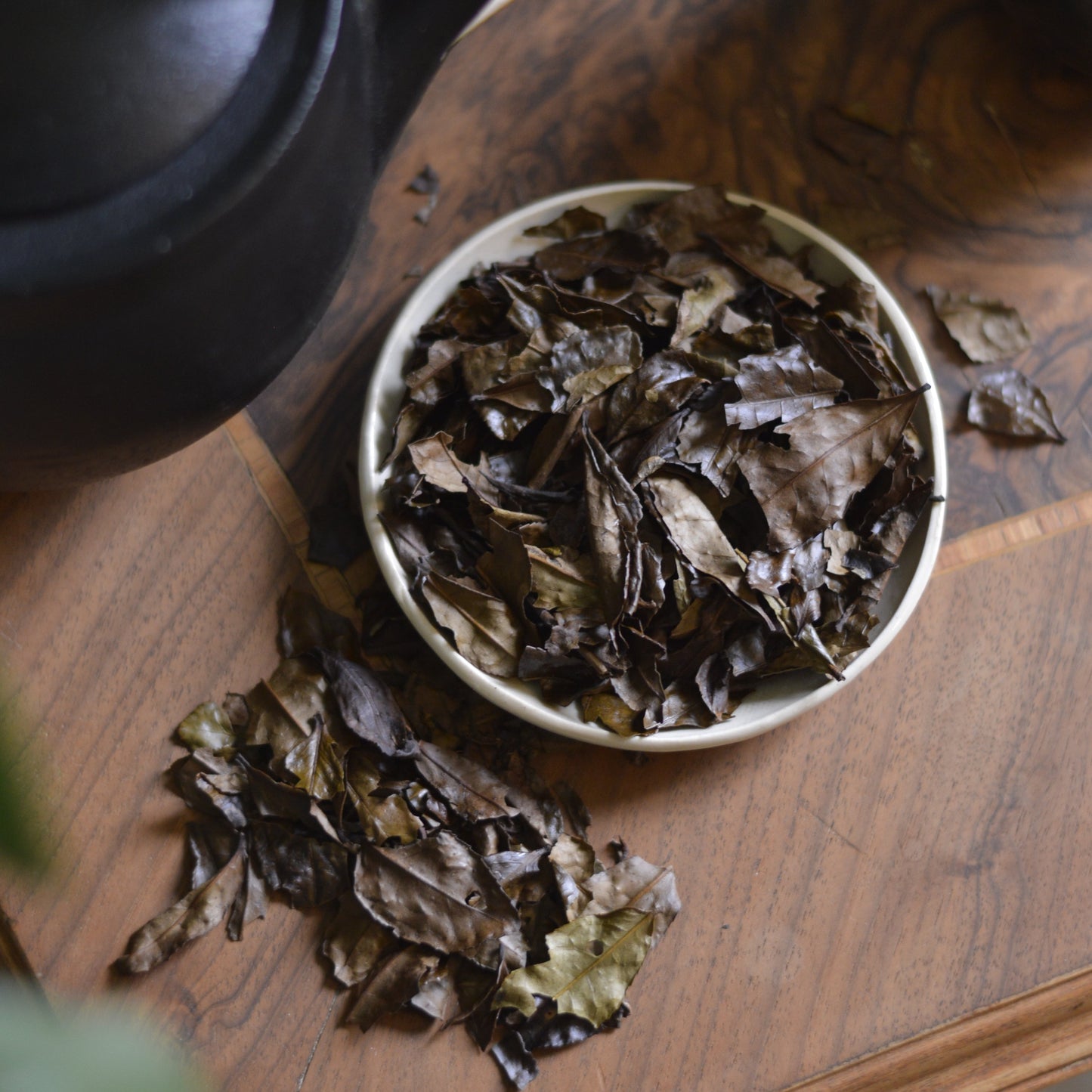 Tè verde tostato Kyobancha Biologico Premium (Uji, Giappone)